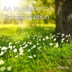 An Invitation to Transcendence