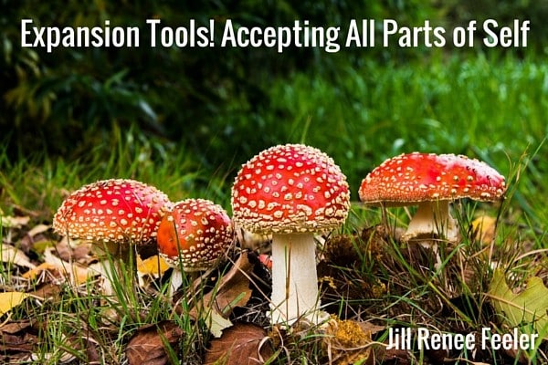 Expansion Tools! Accepting All Parts of Self