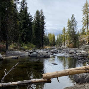 the clear waters of Idaho's rivers