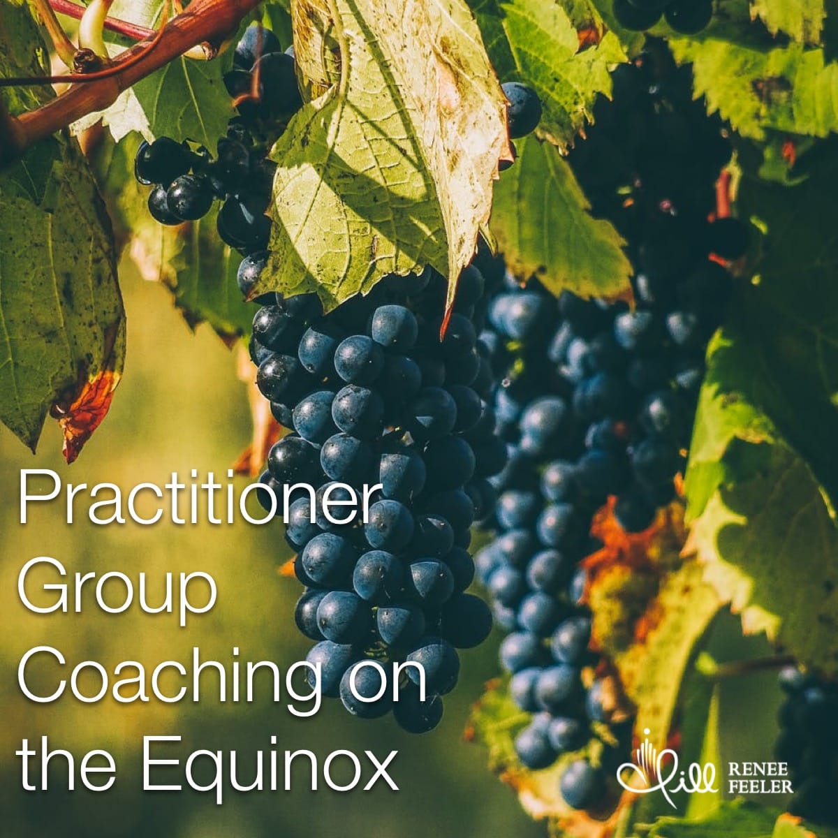 Practitioner Group Coaching on the Equinox Sept 2021 Jill Renee Feeler