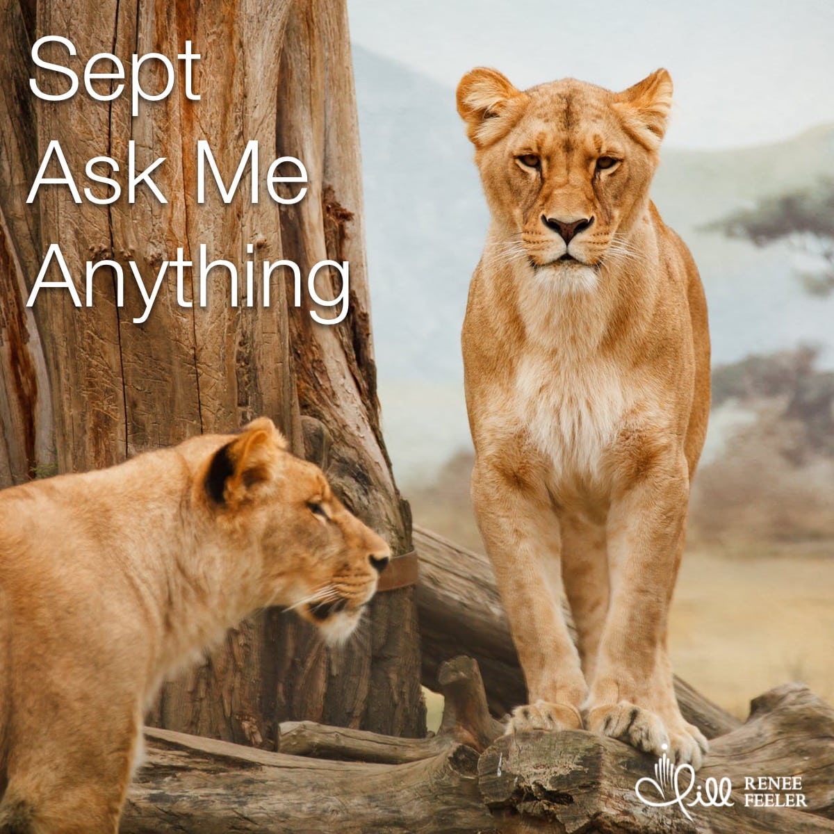 Sept 2021 Ask Me Anything